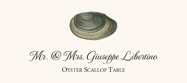 Seashell Assortment  Place Cards