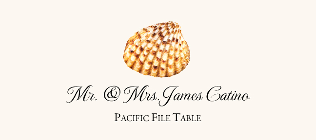 Seashell Assortment  Place Cards