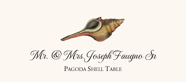 Seashell Assortment  Place Cards