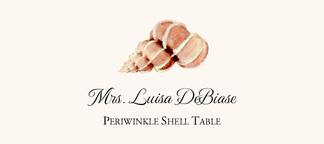 Seashell Assortment  Place Cards