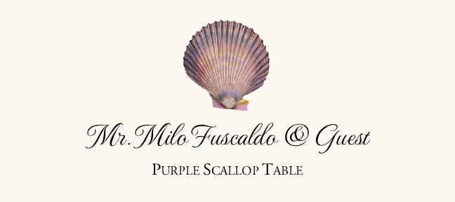 Seashell Assortment  Place Cards
