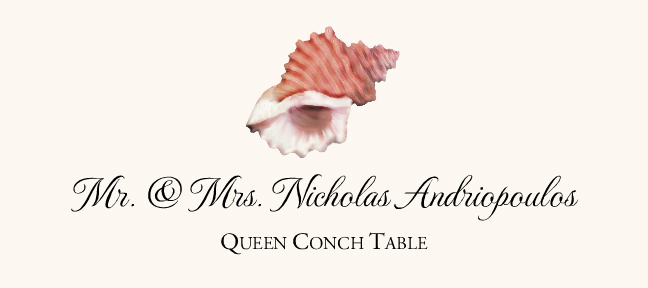 Seashell Assortment  Place Cards