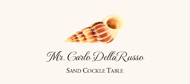 Seashell Assortment  Place Cards