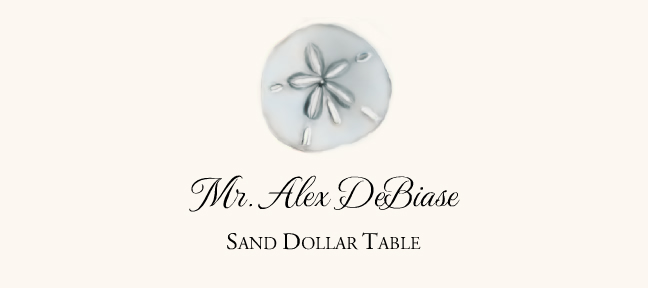 Seashell Assortment  Place Cards