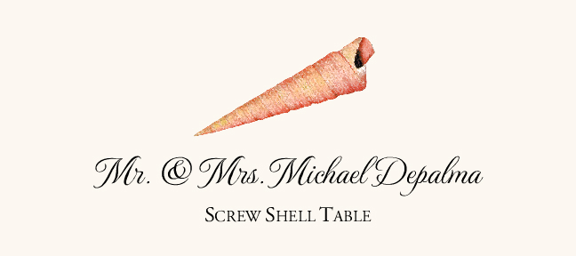 Seashell Assortment  Place Cards
