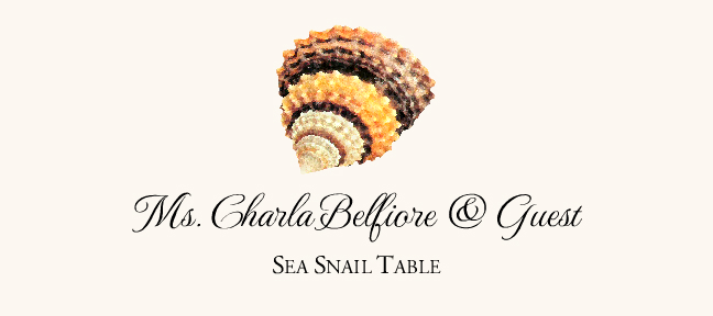 Seashell Assortment  Place Cards