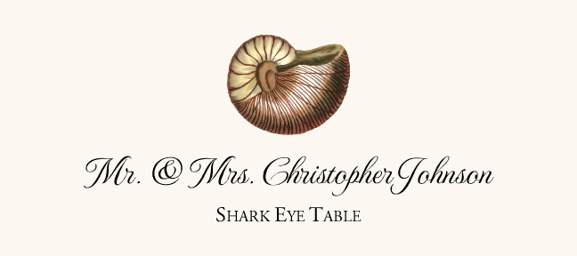 Seashell Assortment  Place Cards