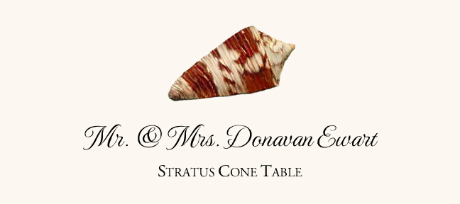 Seashell Assortment  Place Cards