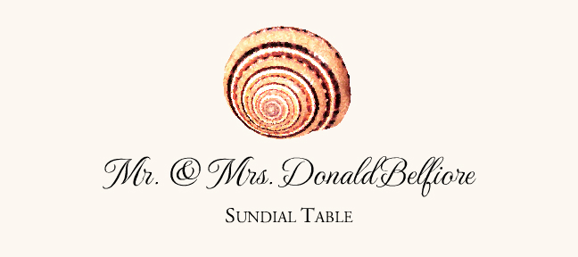 Seashell Assortment  Place Cards