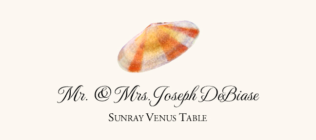 Seashell Assortment  Place Cards