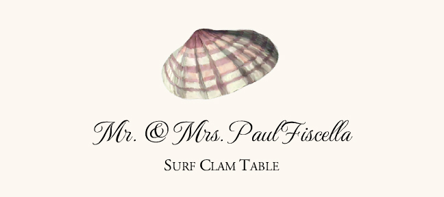 Seashell Assortment  Place Cards