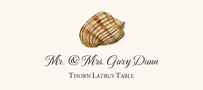 Seashell Assortment  Place Cards