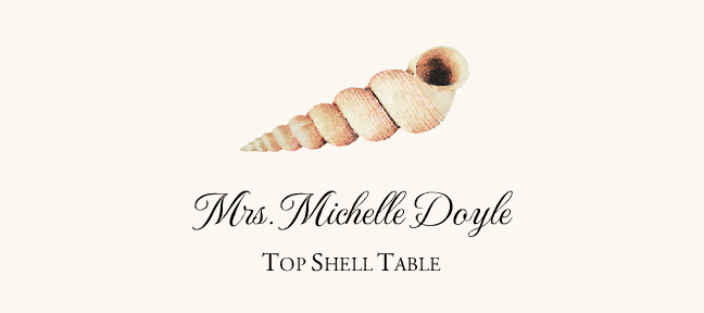 Seashell Assortment  Place Cards