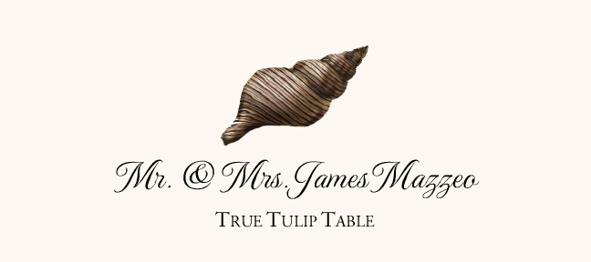 Seashell Assortment  Place Cards