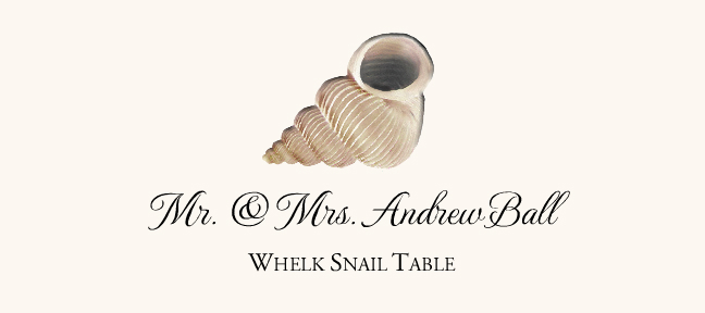 Seashell Assortment  Place Cards