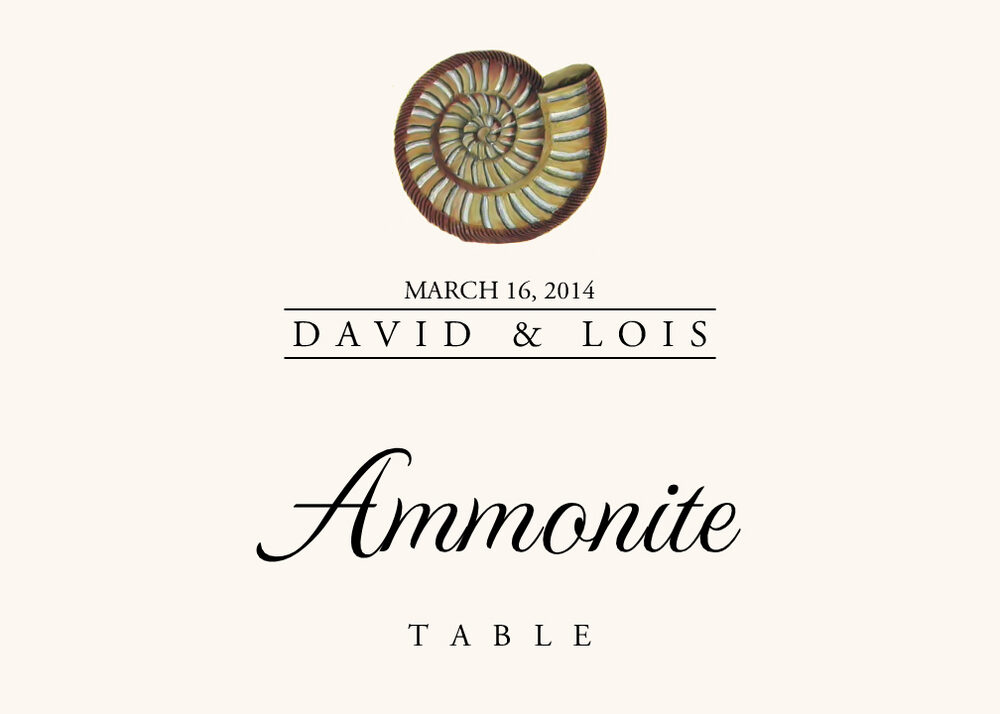 Seashell Assortment  Table Names
