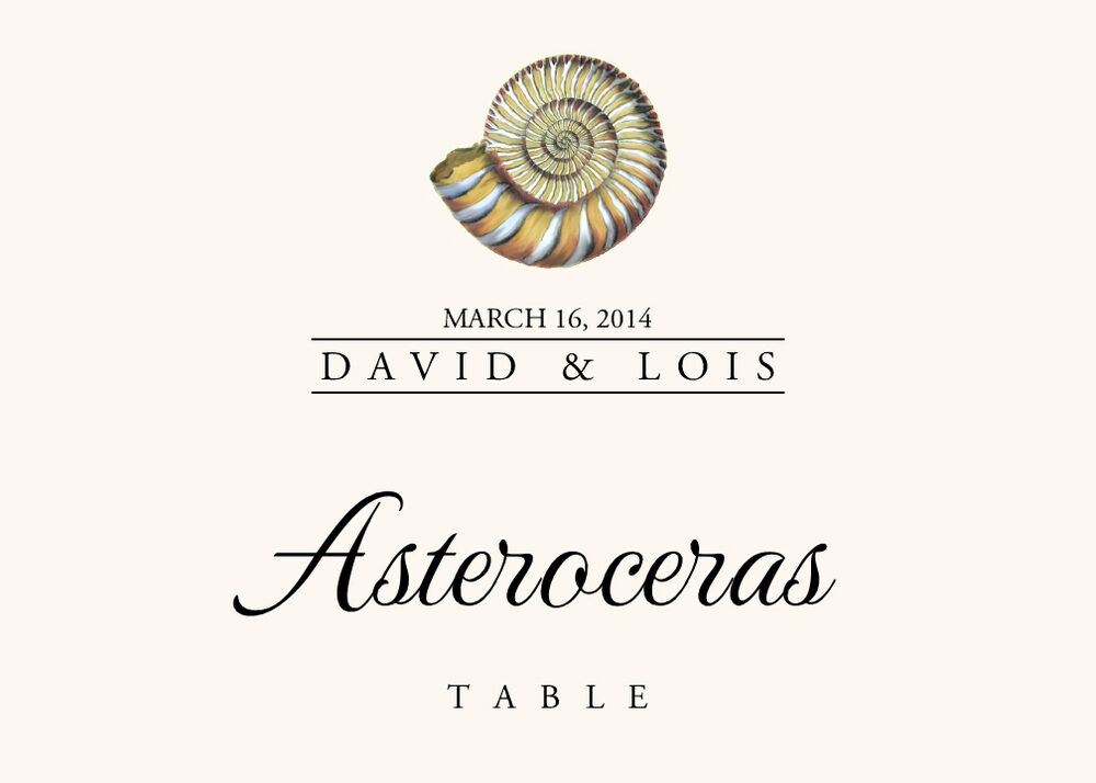 Seashell Assortment  Table Names