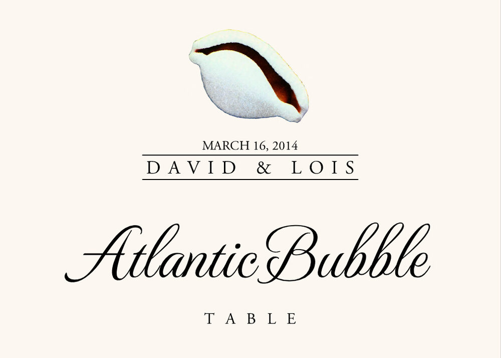Seashell Assortment  Table Names