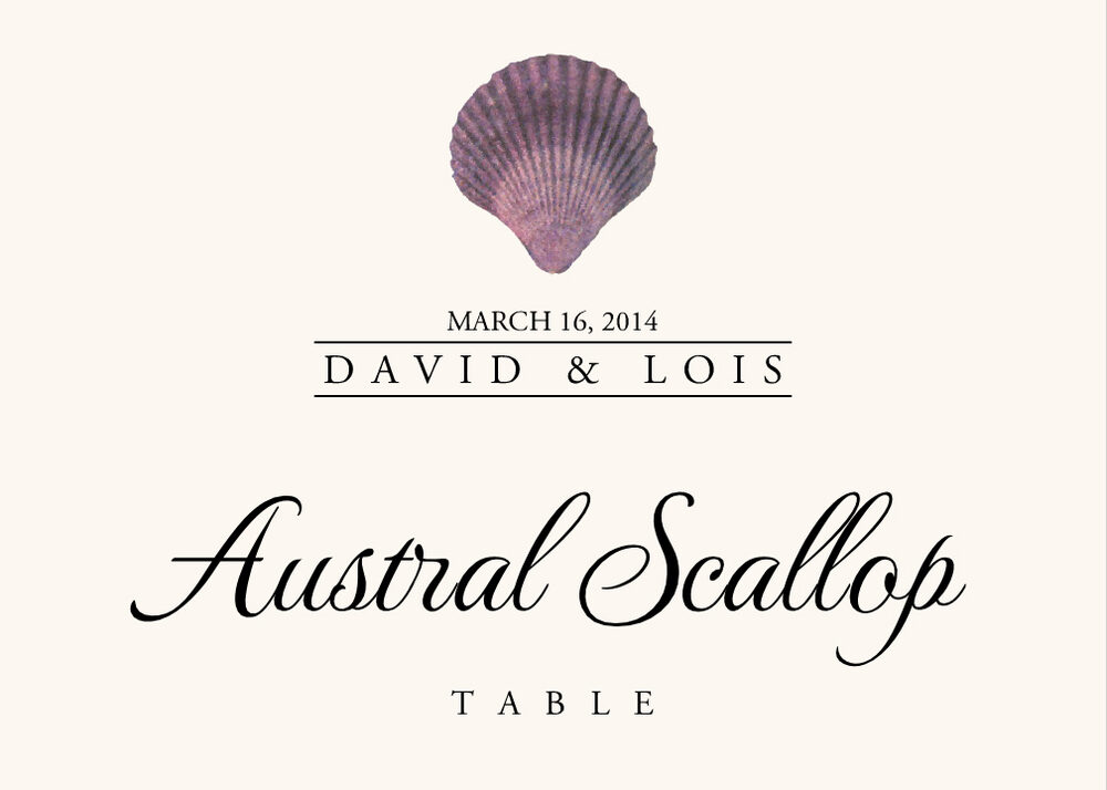 Seashell Assortment  Table Names