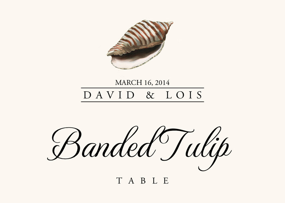 Seashell Assortment  Table Names