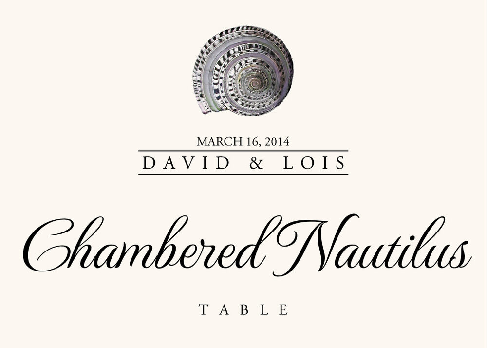 Seashell Assortment  Table Names