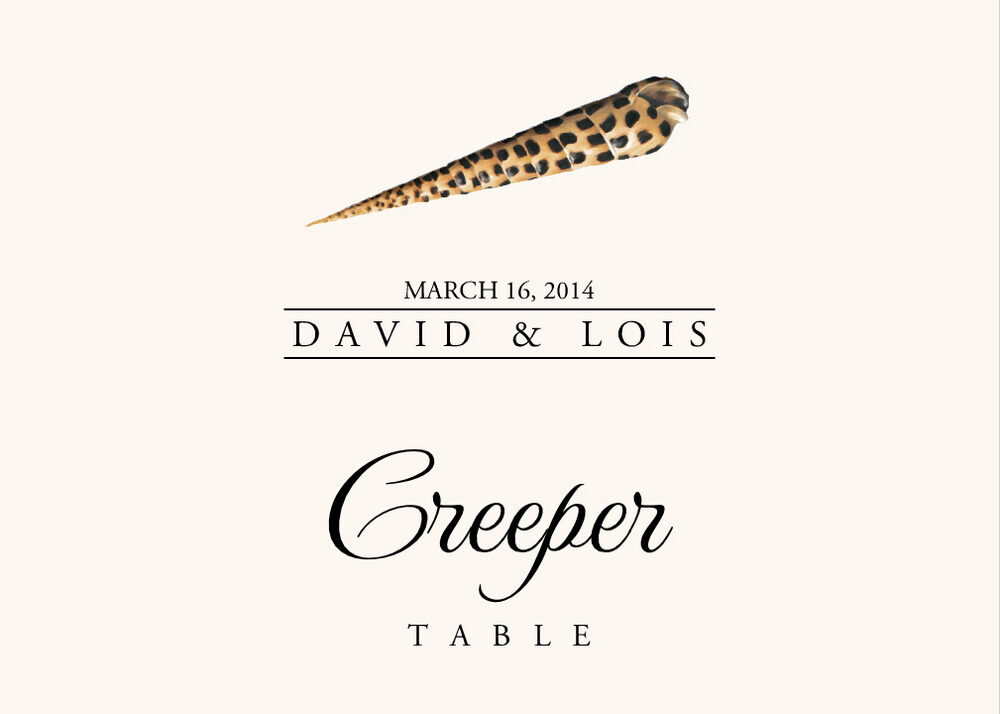 Seashell Assortment  Table Names