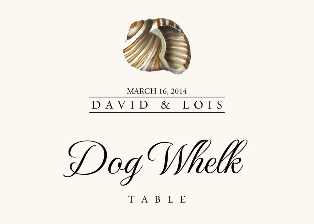 Seashell Assortment  Table Names
