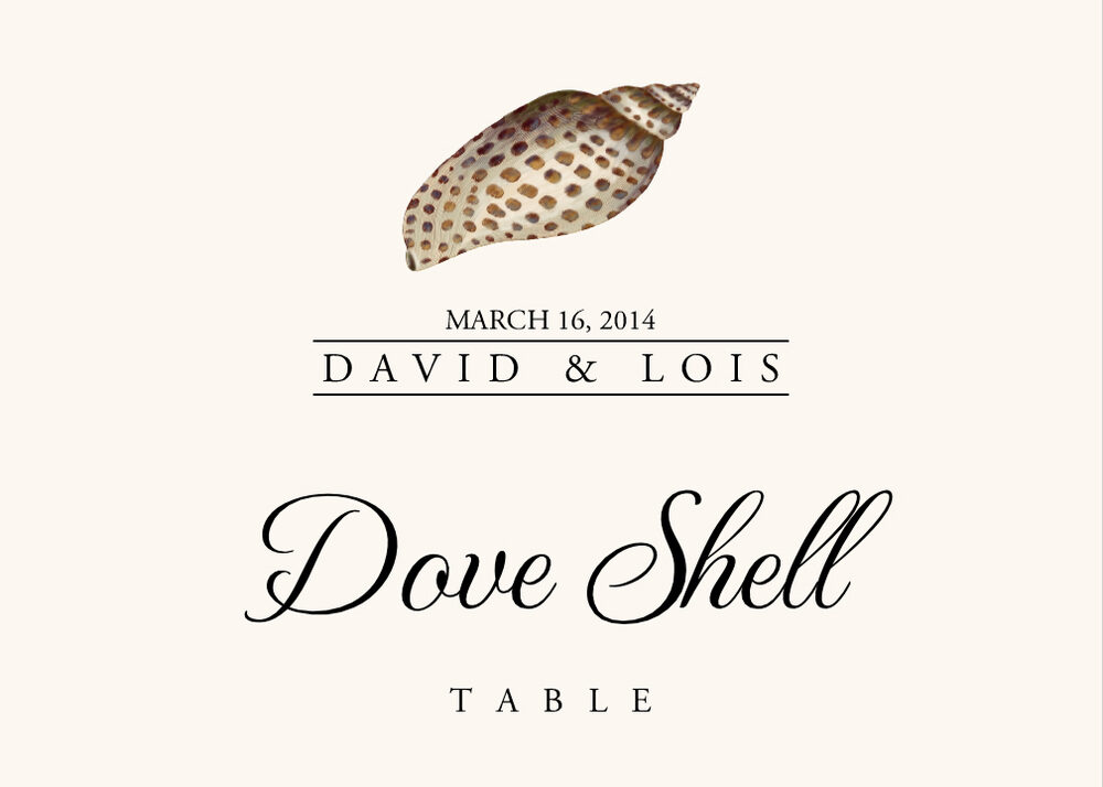 Seashell Assortment  Table Names