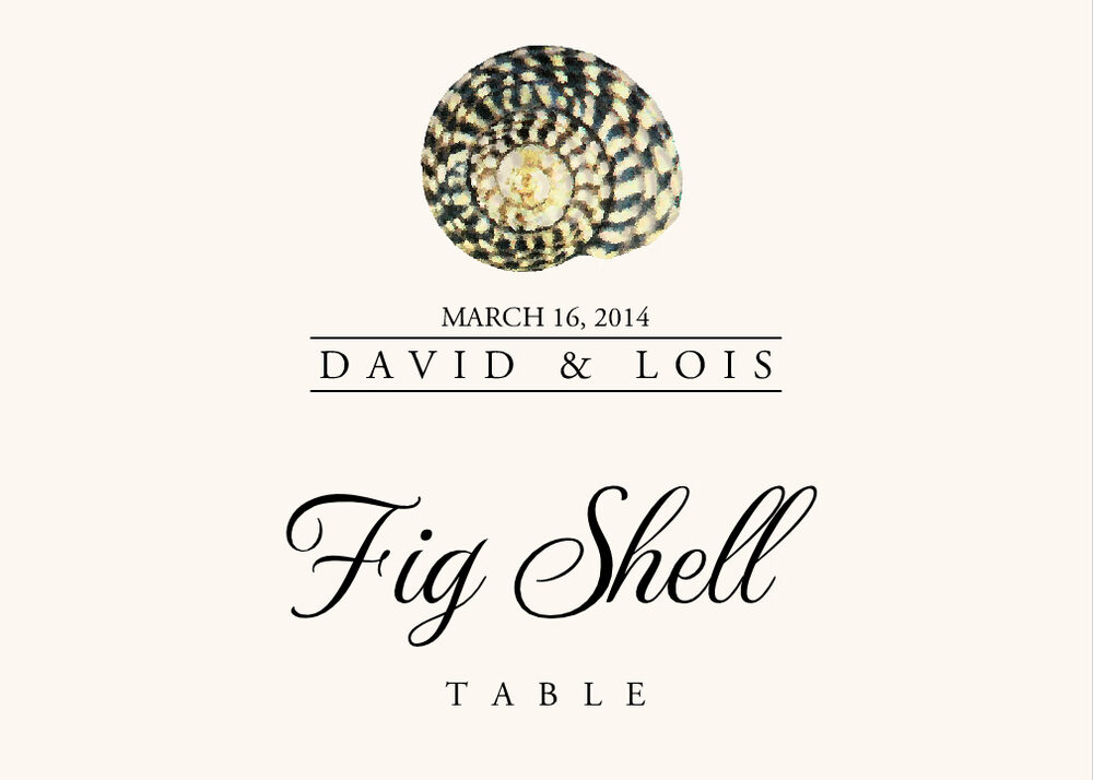 Seashell Assortment  Table Names