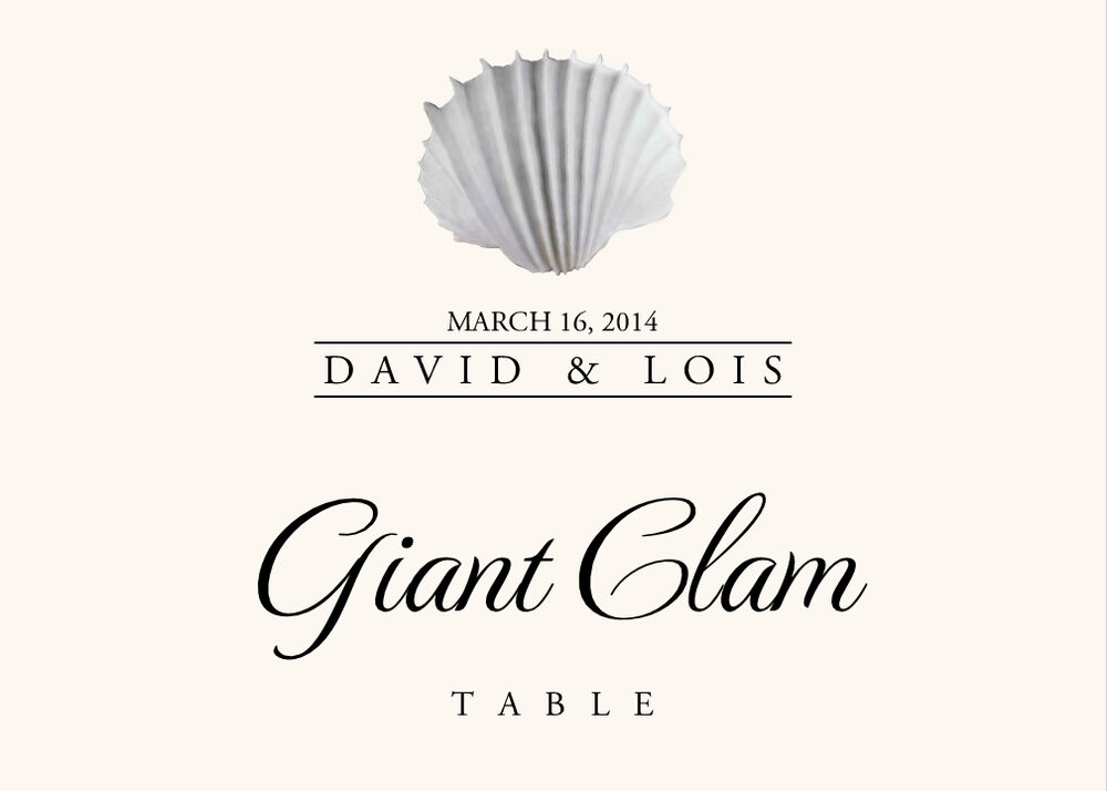 Seashell Assortment  Table Names