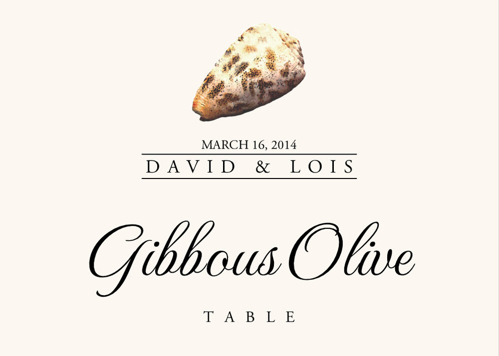 Seashell Assortment  Table Names