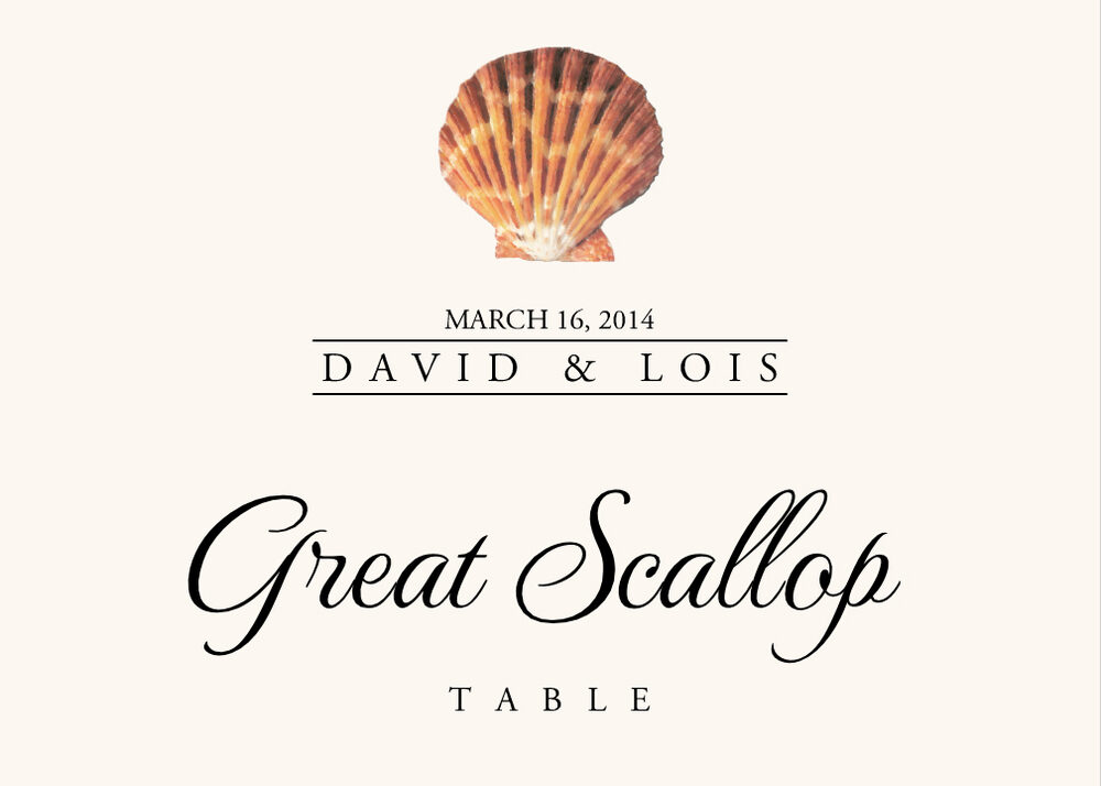 Seashell Assortment  Table Names