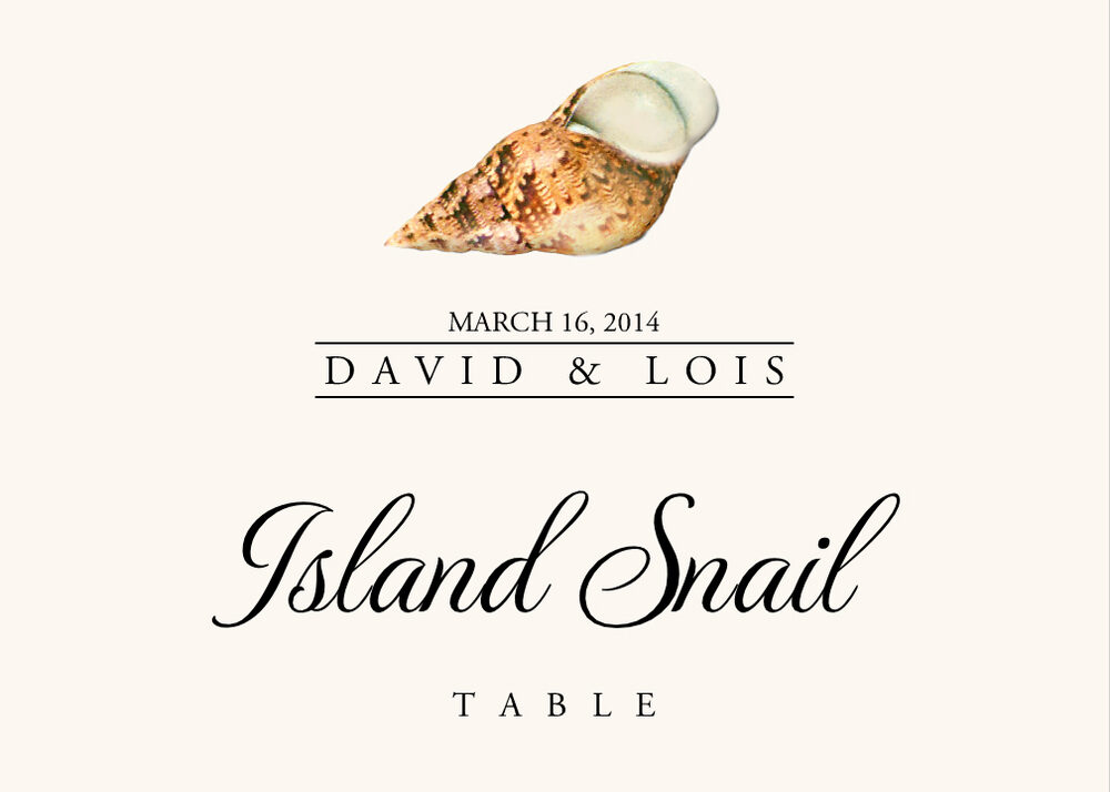 Seashell Assortment  Table Names
