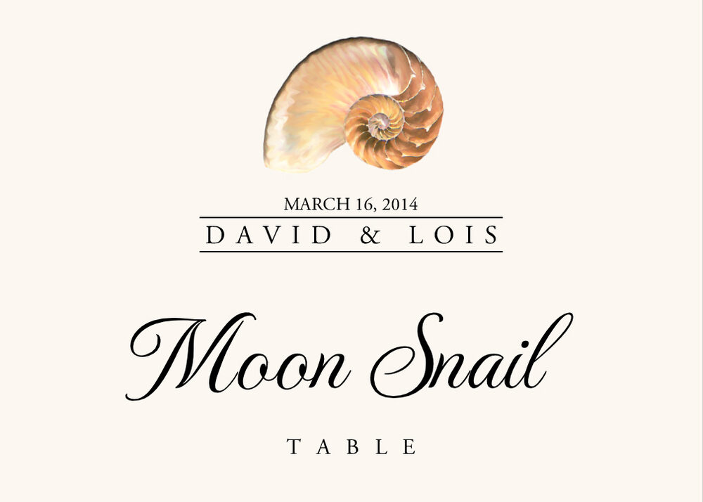 Seashell Assortment  Table Names