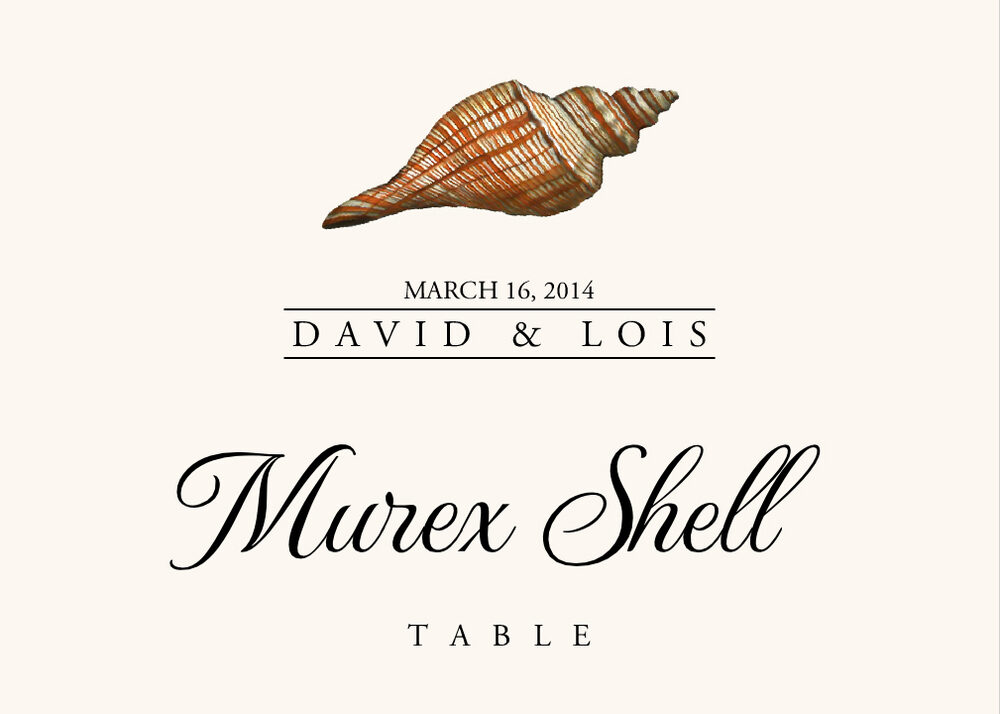 Seashell Assortment  Table Names