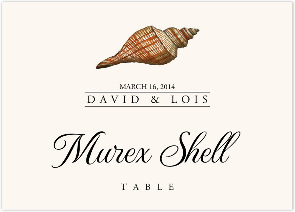 Seashell Assortment  Table Names