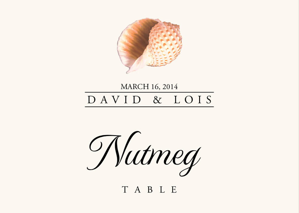 Seashell Assortment  Table Names