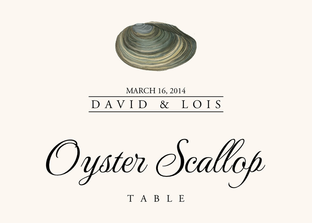 Seashell Assortment  Table Names