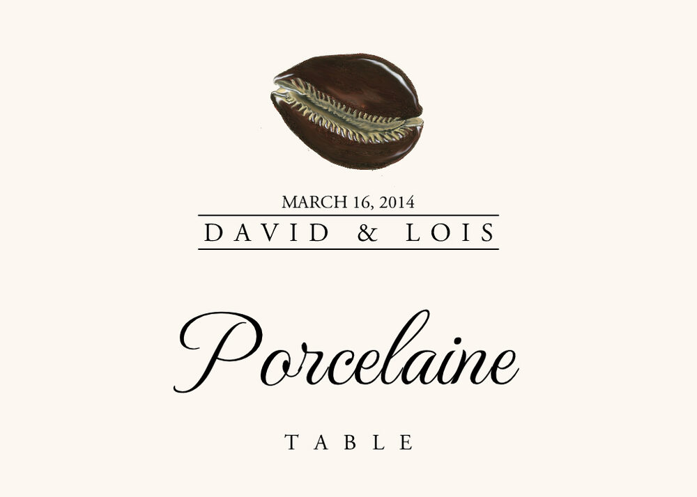 Seashell Assortment  Table Names