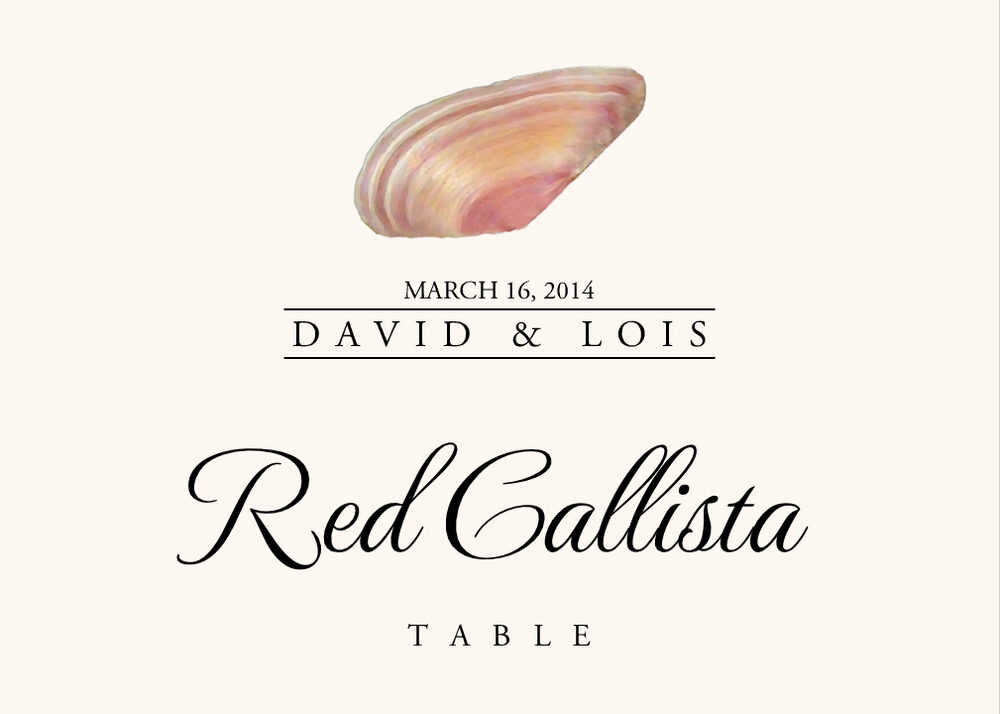 Seashell Assortment  Table Names