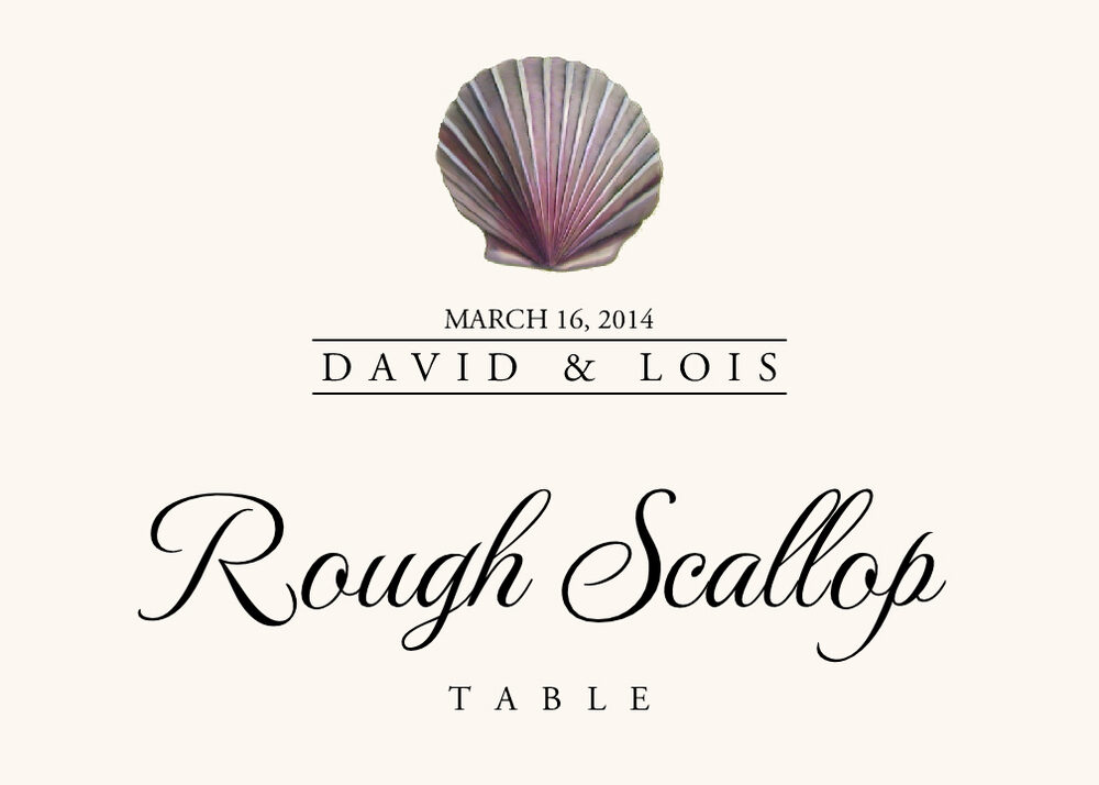 Seashell Assortment  Table Names