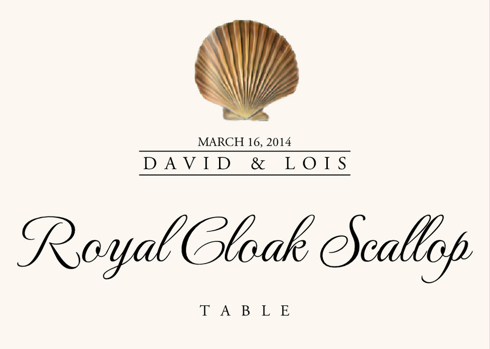 Seashell Assortment  Table Names