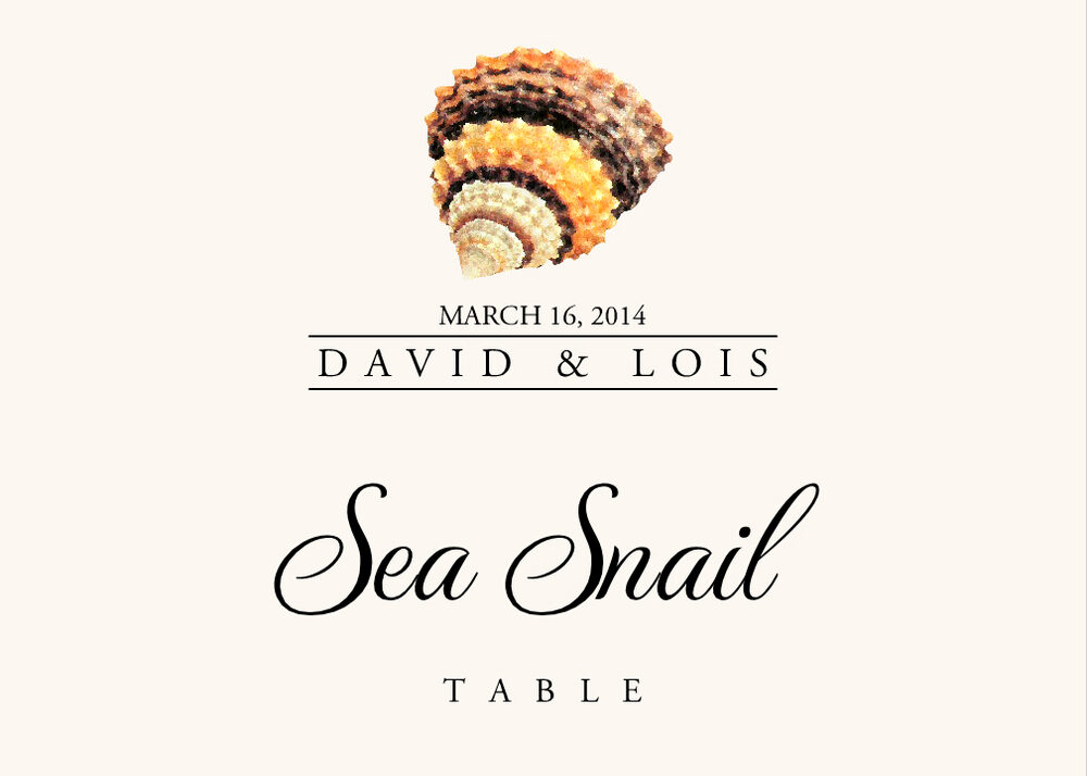 Seashell Assortment  Table Names