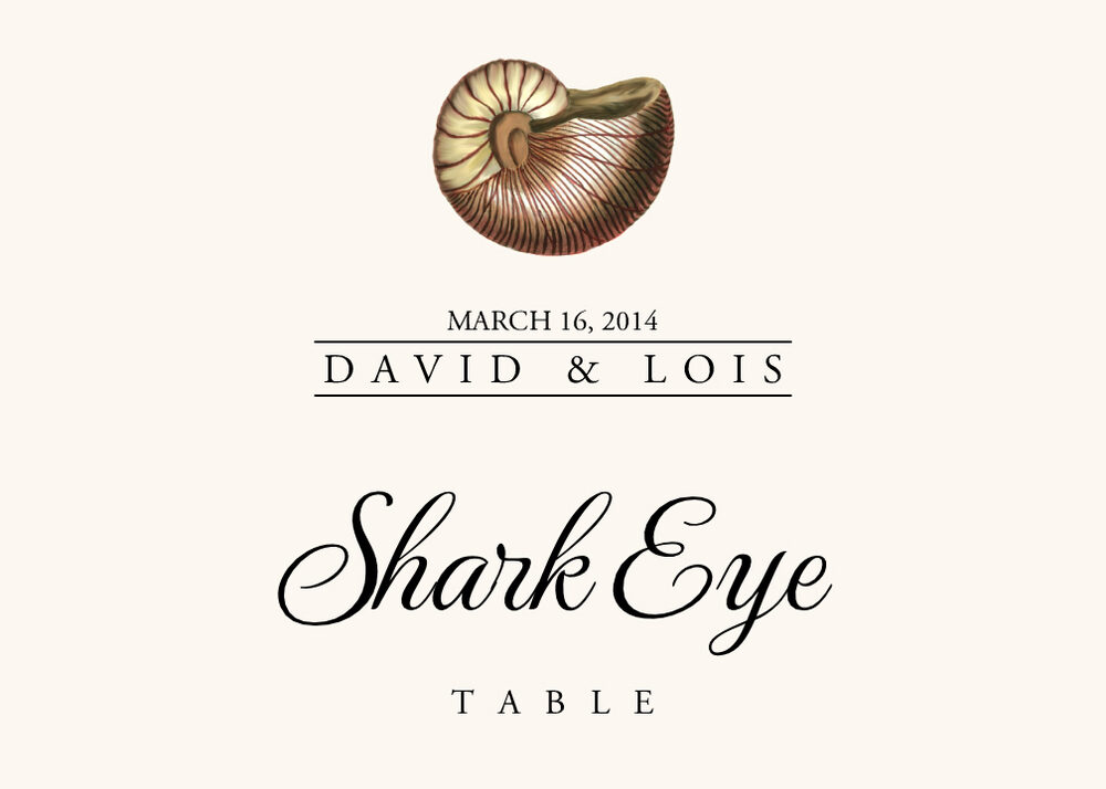 Seashell Assortment  Table Names