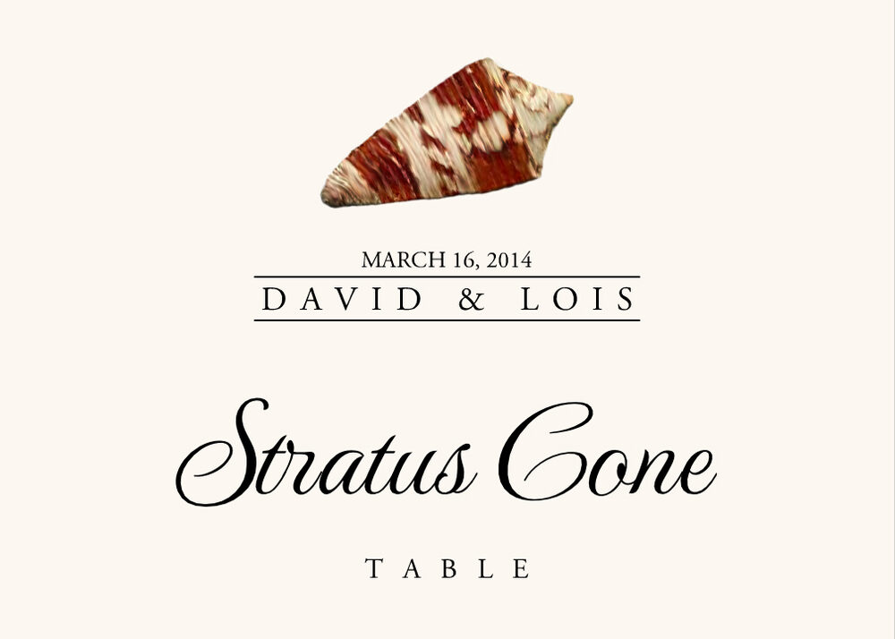 Seashell Assortment  Table Names