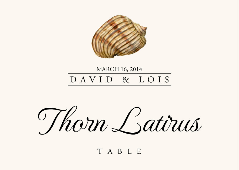 Seashell Assortment  Table Names