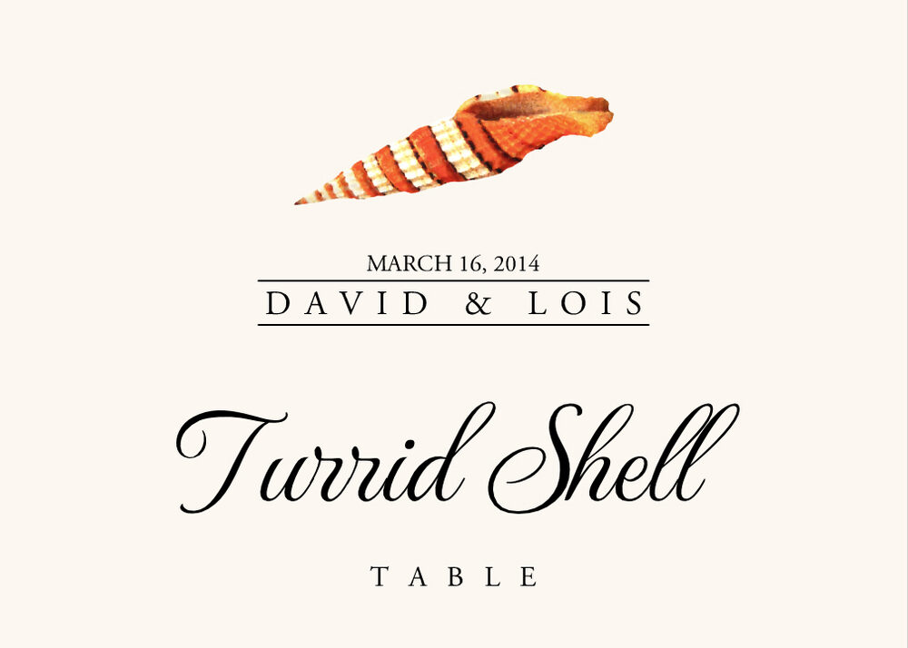 Seashell Assortment  Table Names