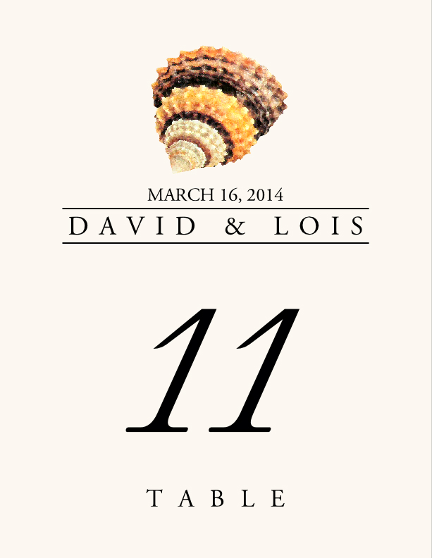 Seashell Assortment  Table Numbers