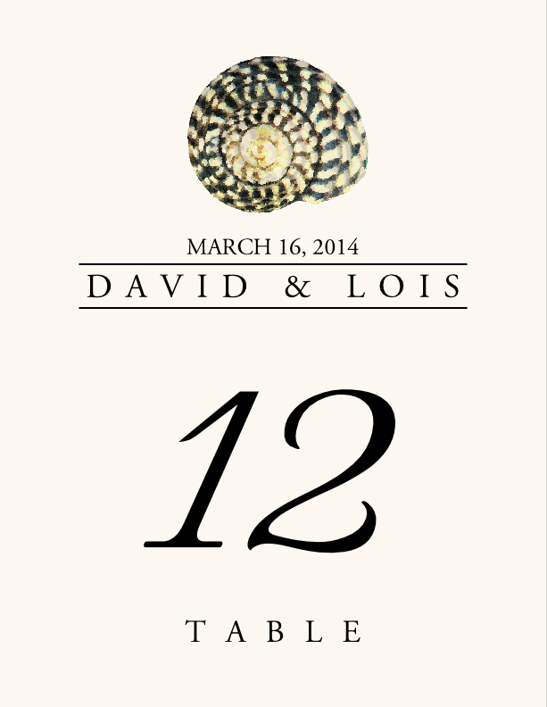 Seashell Assortment  Table Numbers