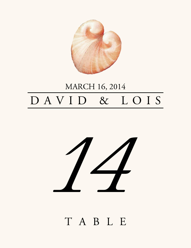 Seashell Assortment  Table Numbers